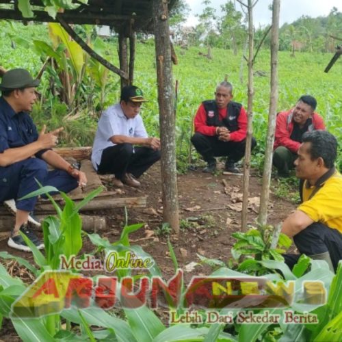 Perum Perhutani KPH Bondowoso Lakukan Reboisasi di RPH Kluncing BKPH Sumber Wringin