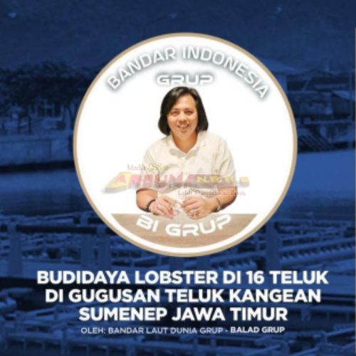 Segera Merajai Dunia Exspor Benih Lobster Indonesia – Vietnam Oleh Balad Group