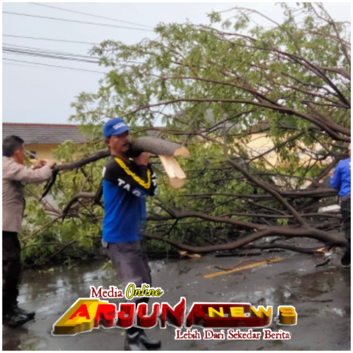 Respon Cepat Evakuasi Pohon Tumbang Akibat Hujan Deras, Jalan Pantura Suboh Kembali Lancar