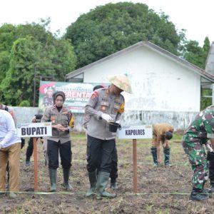 Polres Situbondo Dukung Program Ketahanan Pangan Lewat Gerakan Tanam Jagung Serentak