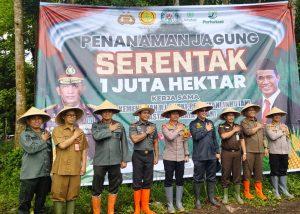 Dukung Asta Cita, Perhutani dan Polres Bondowoso Gelar Penanaman Jagung Bersama Untuk Swasembada Pangan 2025