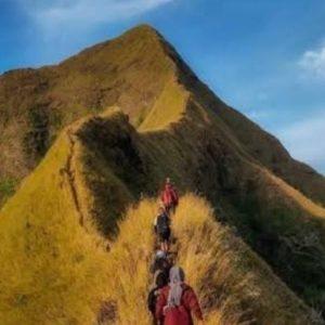 Hindari Jatuhnya Korban Jiwa, ADM Perhutani Bondowoso Umumkan Larangan Pendakian Gunung Saeng, Piramid dan Gulgulan