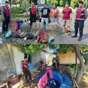 Respon Aduan Warga, Polres Situbondo Gerebek Arena Sabung Ayam di Panarukan