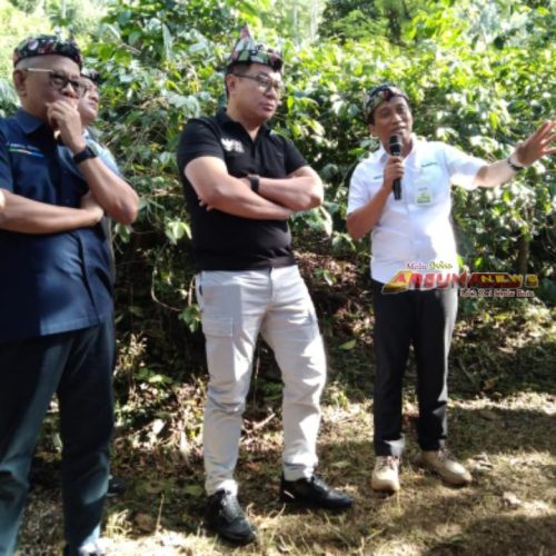 Perkuat Ekonomi Desa Sesuai Asta Cita, Wakil Menteri BUMN Tinjau Program Kemitraan Kopi Perhutani di Bondowoso