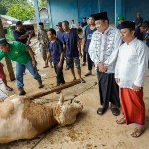 Muba Rayakan Idul Adha Penuh Makna: 22 Sapi dan 10 Kambing Dibagikan ke Warga
