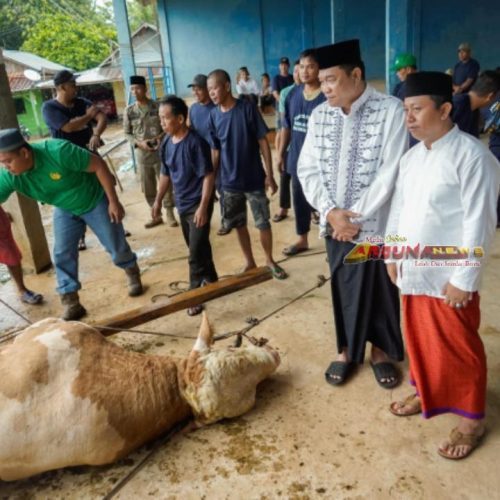 Muba Rayakan Idul Adha Penuh Makna: 22 Sapi dan 10 Kambing Dibagikan ke Warga
