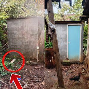 Proyek Jambanisasi Selain Terindikasi Korupsi Juga Adanya Pungli di Situbondo