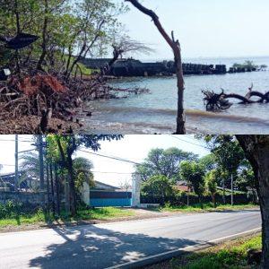 Reklamasi Lokasi Benur di Desa Klatakan Situbondo Berjalan Aman Aman Saja, Kades Mengaku Tidak Tahu