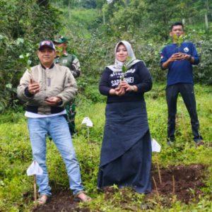 Uji Coba Tanaman Bibit Kopi di Desa Baderan Situbondo