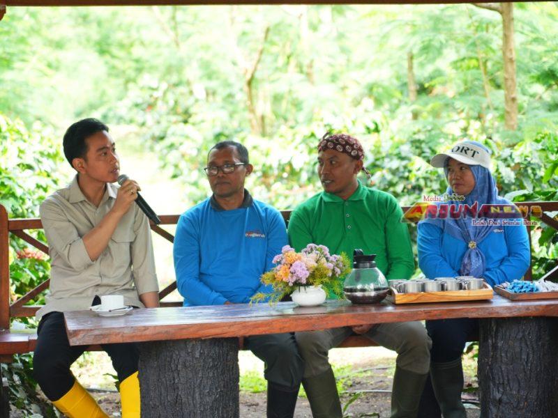 Wapres Gibran Berkunjung ke PMO Kopi di Perhutani Bondowoso “Indonesia Penghasil Kopi Terbesar ke-4”