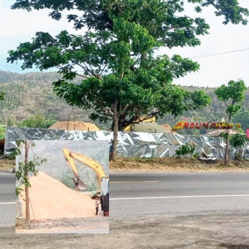 Stockpile Serbuk Kayu di Banyuglugur Situbondo Resahkan Warga Terkait Dampak Lingkungan ISPA