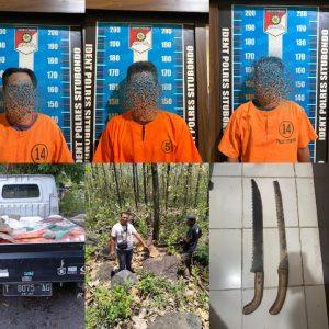 Polisi bersama Perhutani Bongkar Sindikat Illegal Logging di Situbondo, Puluhan Kayu Jati Diamankan