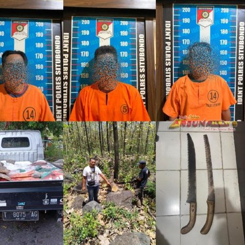 Polisi bersama Perhutani Bongkar Sindikat Illegal Logging di Situbondo, Puluhan Kayu Jati Diamankan